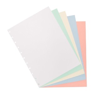 REFIL COLORIDO GRANDE 80G CADERNO INTELIGENTE