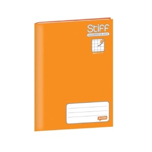 CADERNO BROCHURÃO CD QUADRICULADO 96FLS 1X1 JANDAIA