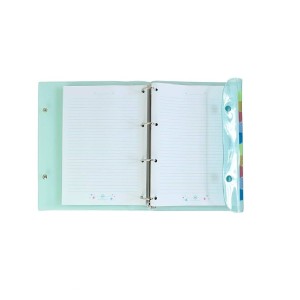 FICHÁRIO UNIVERSITÁRIO PVC CRISTAL BREEZE VERDE