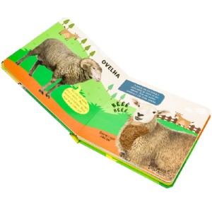 TOQUE, SINTA E ESCUTE! FAZENDA HAPPY BOOKS