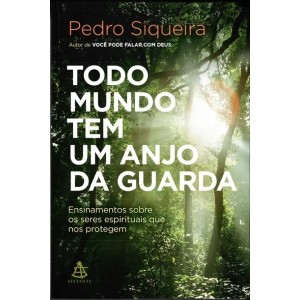 TODO MUNDO TEM UM ANJO DA GUARDA  PEDRO SIQUEIRA SEXTANTE
